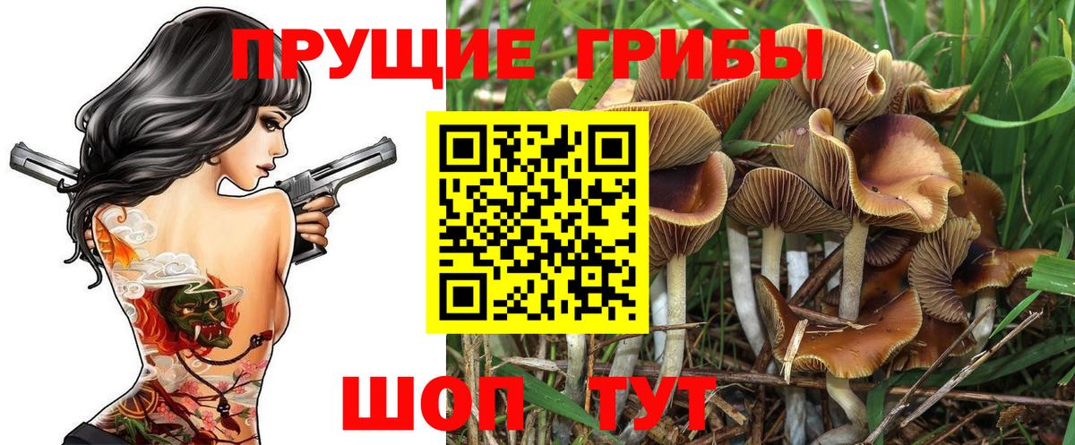 Галлюциногенные грибы мухоморы  закладки  Углич  Вход с VPN 